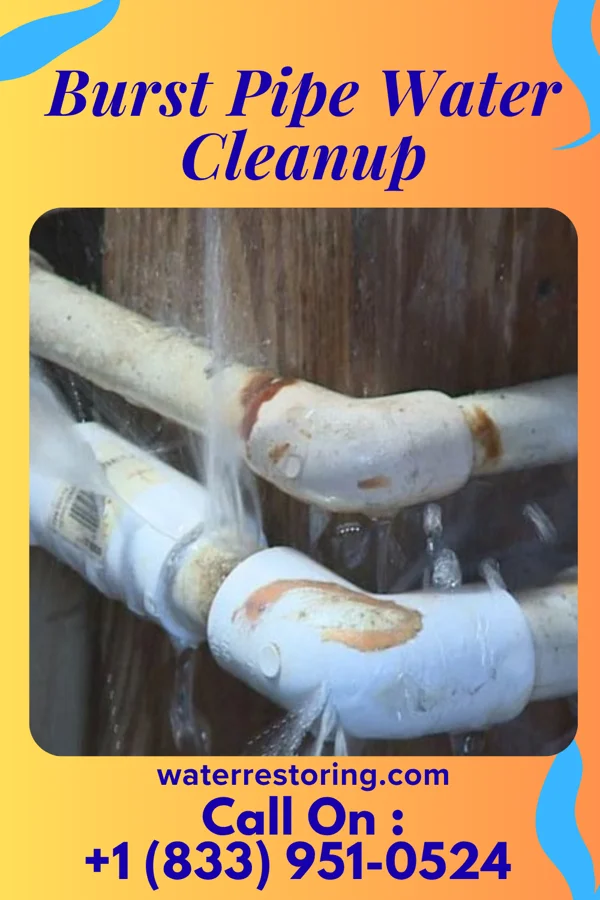 Burst Pipe Water Cleanup in Englewood Cliffs, NJ
