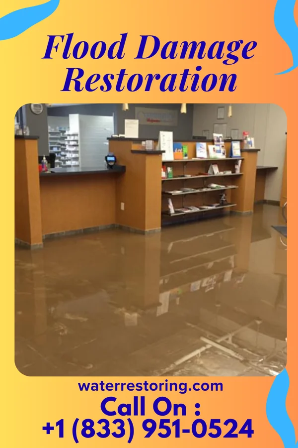 Flood Damage Restoration in Englewood Cliffs, NJ