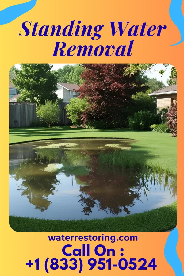 Standing Water Removal in Englewood Cliffs, NJ